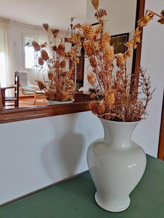 Apartamento Rural El Vidre Vt-42035-Cs Vistabella del Maestrazgo Exteriör bild